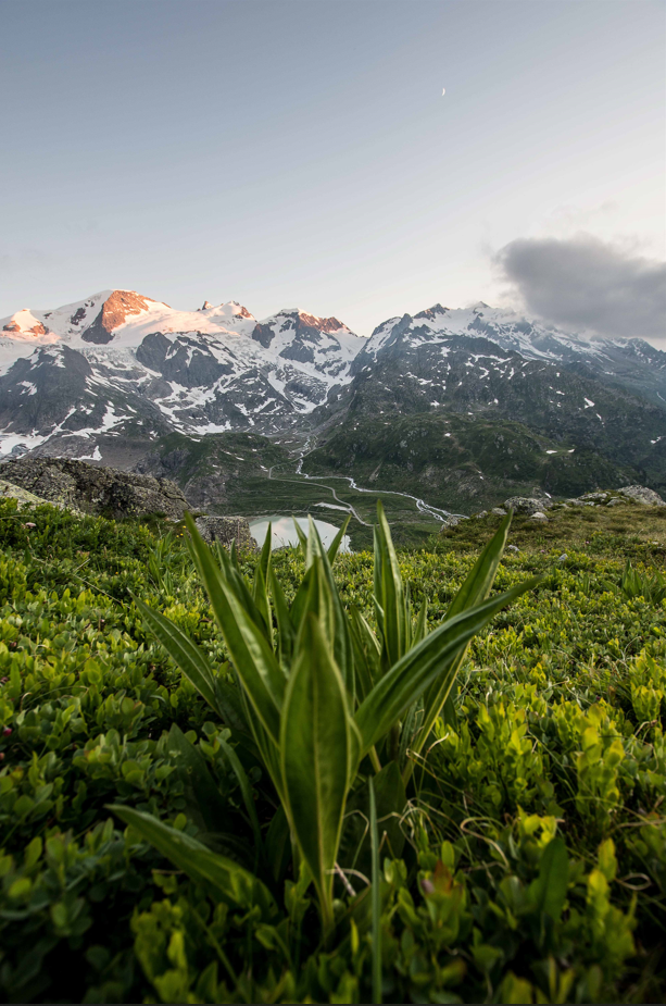 Schweiz