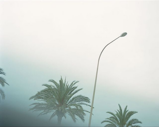 Untitled (Palm Lamp)